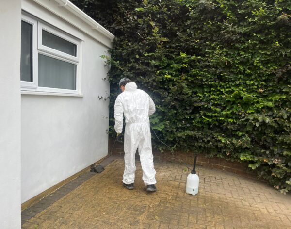 WhatsApp Image 2026-01-01 at 1.31.14 PM