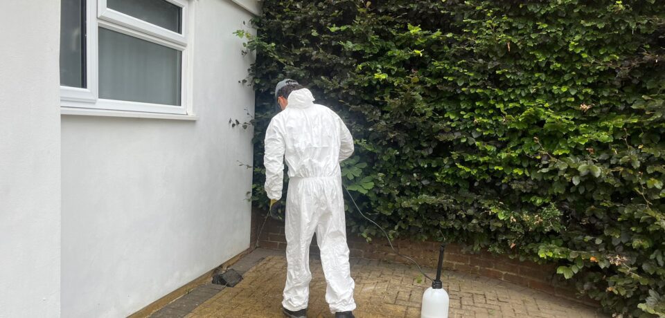 WhatsApp Image 2026-01-01 at 1.31.14 PM