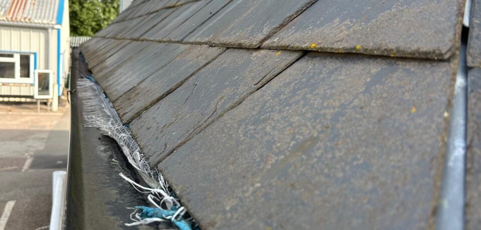 WhatsApp Image 2026-01-27 at 10.14.53 PM